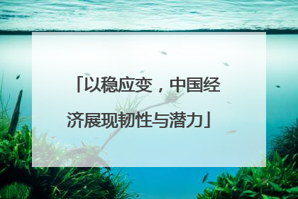 以稳应变，中国经济展现韧性与潜力