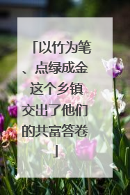 以竹为笔、点绿成金 这个乡镇交出了他们的共富答卷