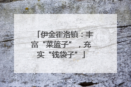 伊金霍洛镇：丰富“菜篮子”，充实“钱袋子”