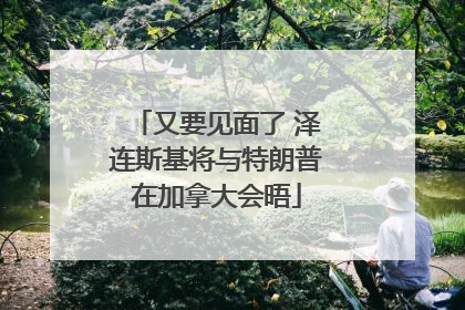 又要见面了 泽连斯基将与特朗普在加拿大会晤