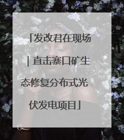 发改君在现场｜直击寨口矿生态修复分布式光伏发电项目