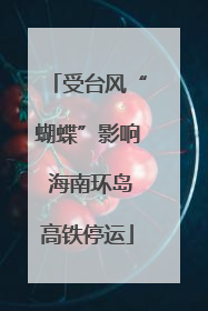 受台风“蝴蝶”影响 海南环岛高铁停运