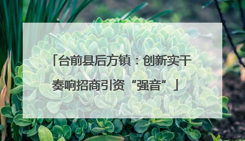 台前县后方镇：创新实干奏响招商引资“强音”