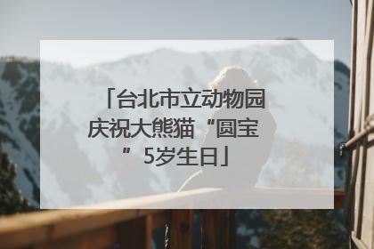 台北市立动物园庆祝大熊猫“圆宝”5岁生日