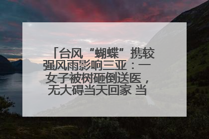 台风“蝴蝶”携较强风雨影响三亚：一女子被树砸倒送医，无大碍当天回家 当地已紧急清障