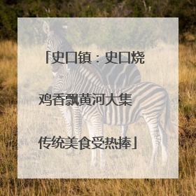 史口镇：史口烧鸡香飘黄河大集 传统美食受热捧