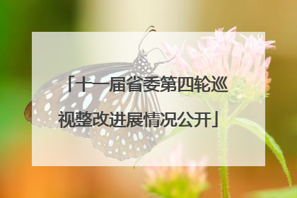 十一届省委第四轮巡视整改进展情况公开