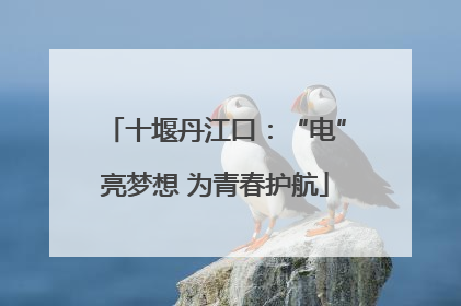 十堰丹江口：“电”亮梦想 为青春护航