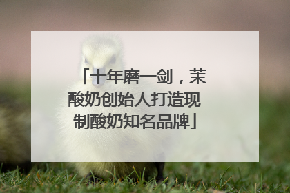 十年磨一剑，茉酸奶创始人打造现制酸奶知名品牌