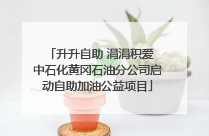 升升自助 涓涓积爱 中石化黄冈石油分公司启动自助加油公益项目