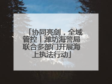 协同亮剑，全域管控丨潍坊海警局联合多部门开展海上执法行动