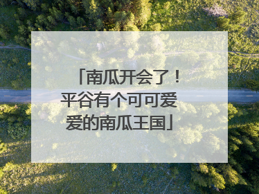 南瓜开会了！平谷有个可可爱爱的南瓜王国