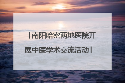 南阳哈密两地医院开展中医学术交流活动
