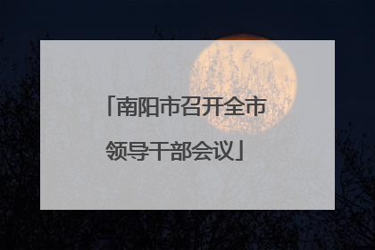 南阳市召开全市领导干部会议