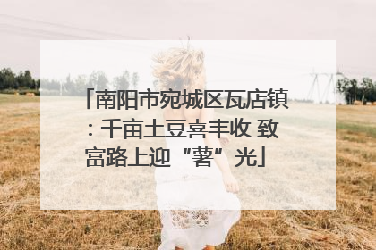 南阳市宛城区瓦店镇：千亩土豆喜丰收 致富路上迎“薯”光