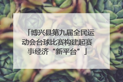 博兴县第九届全民运动会台球比赛构建起赛事经济“新平台”