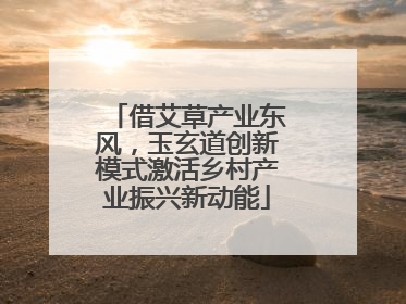 借艾草产业东风，玉玄道创新模式激活乡村产业振兴新动能
