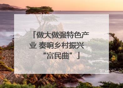 做大做强特色产业 奏响乡村振兴“富民曲”