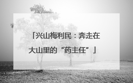兴山梅利民：奔走在大山里的“药主任”