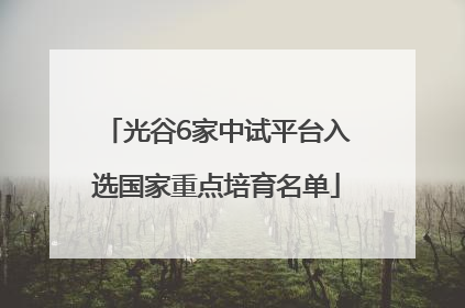光谷6家中试平台入选国家重点培育名单