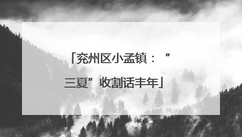 兖州区小孟镇：“三夏”收割话丰年