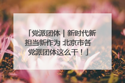 党派团体｜新时代新担当新作为 北京市各党派团体这么干！