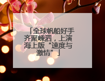 全球帆船好手齐聚嵊泗，上演海上版“速度与激情”