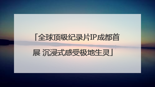 全球顶级纪录片IP成都首展 沉浸式感受极地生灵