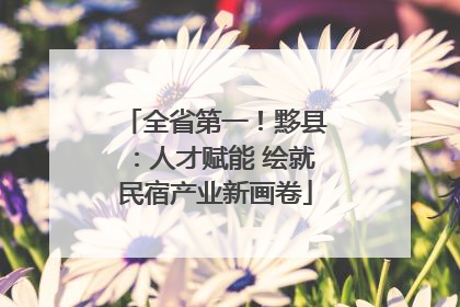 全省第一！黟县：人才赋能 绘就民宿产业新画卷