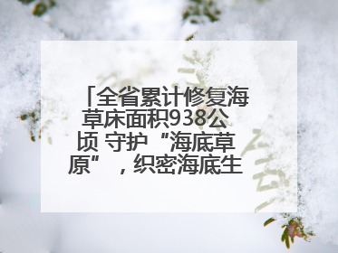 全省累计修复海草床面积938公顷 守护“海底草原”，织密海底生态“一张网”