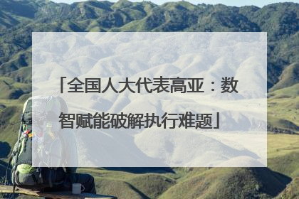 全国人大代表高亚：数智赋能破解执行难题