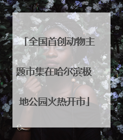 全国首创动物主题市集在哈尔滨极地公园火热开市
