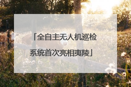 全自主无人机巡检系统首次亮相夷陵