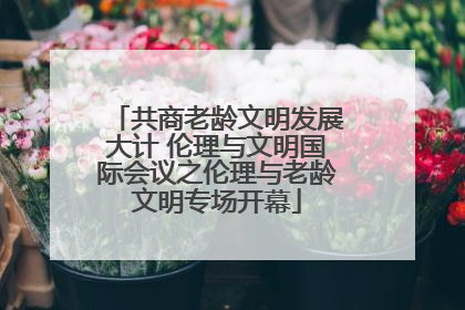 共商老龄文明发展大计 伦理与文明国际会议之伦理与老龄文明专场开幕