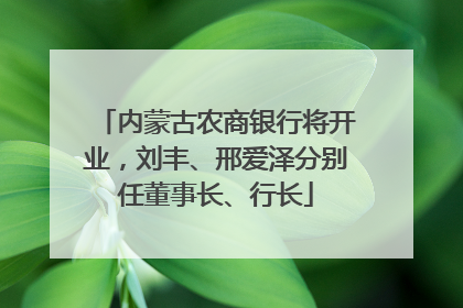 内蒙古农商银行将开业，刘丰、邢爱泽分别任董事长、行长