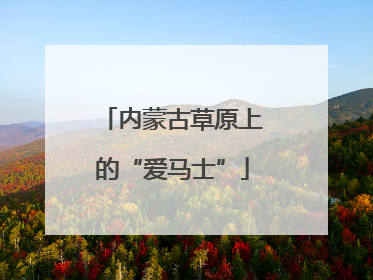 内蒙古草原上的“爱马士”