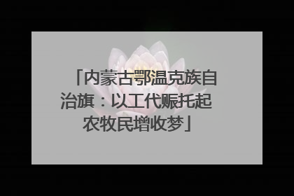 内蒙古鄂温克族自治旗：以工代赈托起农牧民增收梦