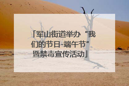 军山街道举办“我们的节日-端午节”暨禁毒宣传活动