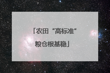 农田“高标准” 粮仓根基稳
