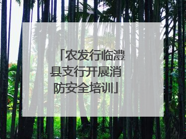 农发行临澧县支行开展消防安全培训