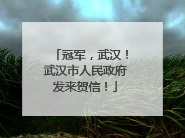 冠军，武汉！武汉市人民政府发来贺信！