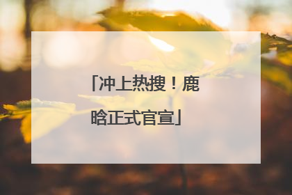 冲上热搜！鹿晗正式官宣