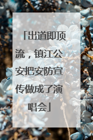出道即顶流，镇江公安把安防宣传做成了演唱会