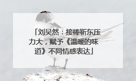 刘昊然：接棒靳东压力大，赋予《温暖的味道》不同情感表达