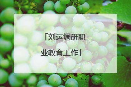 刘运调研职业教育工作