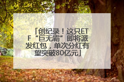 创纪录！这只ETF“巨无霸”即将派发红包，单次分红有望突破80亿元