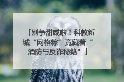 别争甜咸啦！科教新城“网格粽”竟藏着“消防与反诈秘籍”