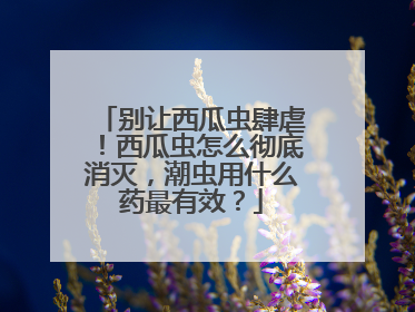 别让西瓜虫肆虐！西瓜虫怎么彻底消灭，潮虫用什么药最有效？