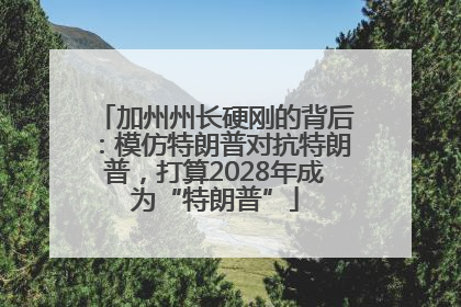 加州州长硬刚的背后：模仿特朗普对抗特朗普，打算2028年成为“特朗普”