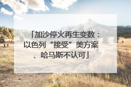 加沙停火再生变数：以色列“接受”美方案、哈马斯不认可